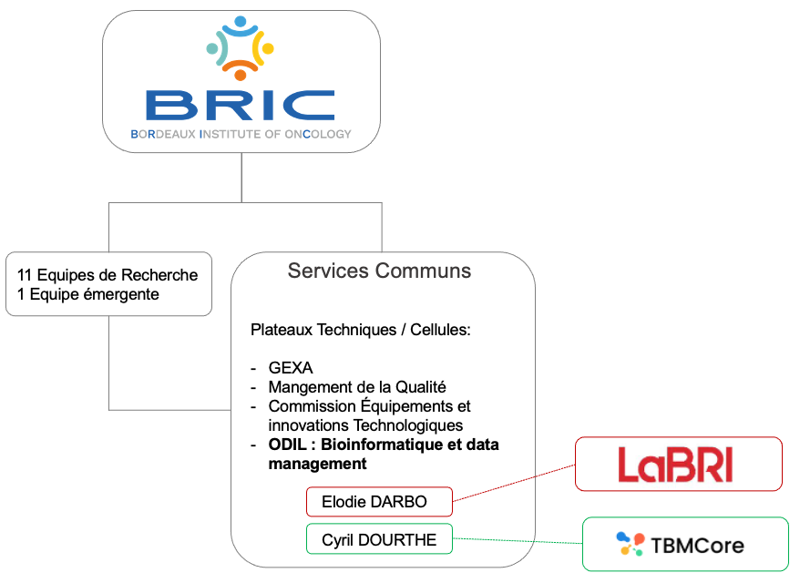 logigramme